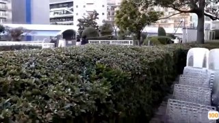 久久久97国产精品一区蜜桃,成人视频高清免费观看